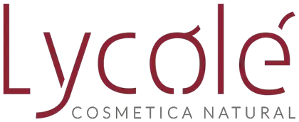 logo-palabra-lycole-fondo-blanco_420x172
